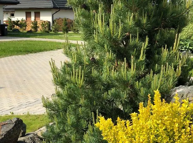 Detvan Semesterbostad